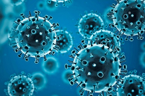 ZNCF's Response to the COVID-19 Pandemic